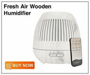 Fresh Air Wooden Humidifier