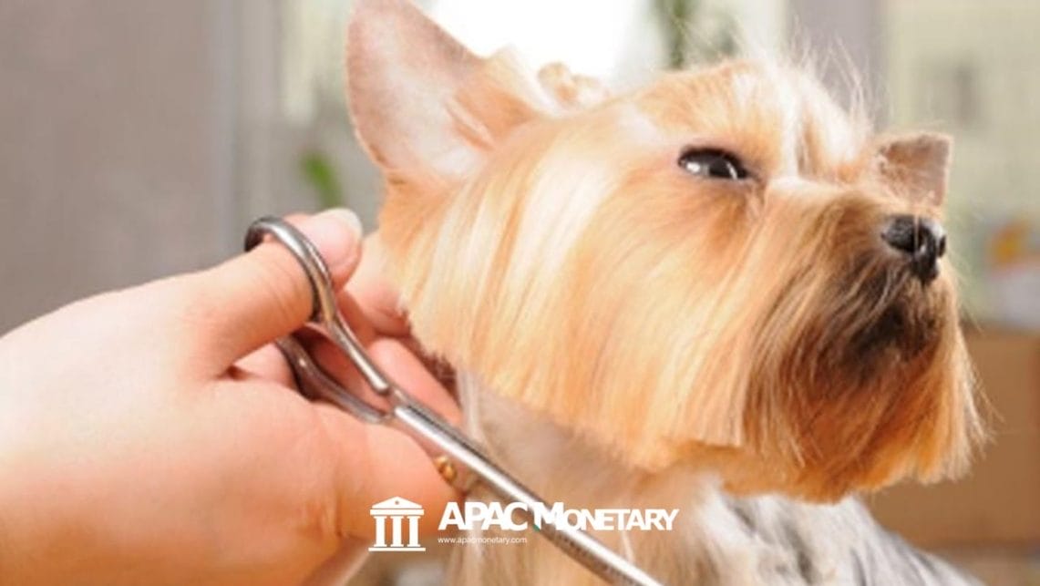 Pet Care and Grooming Business in Alabang
