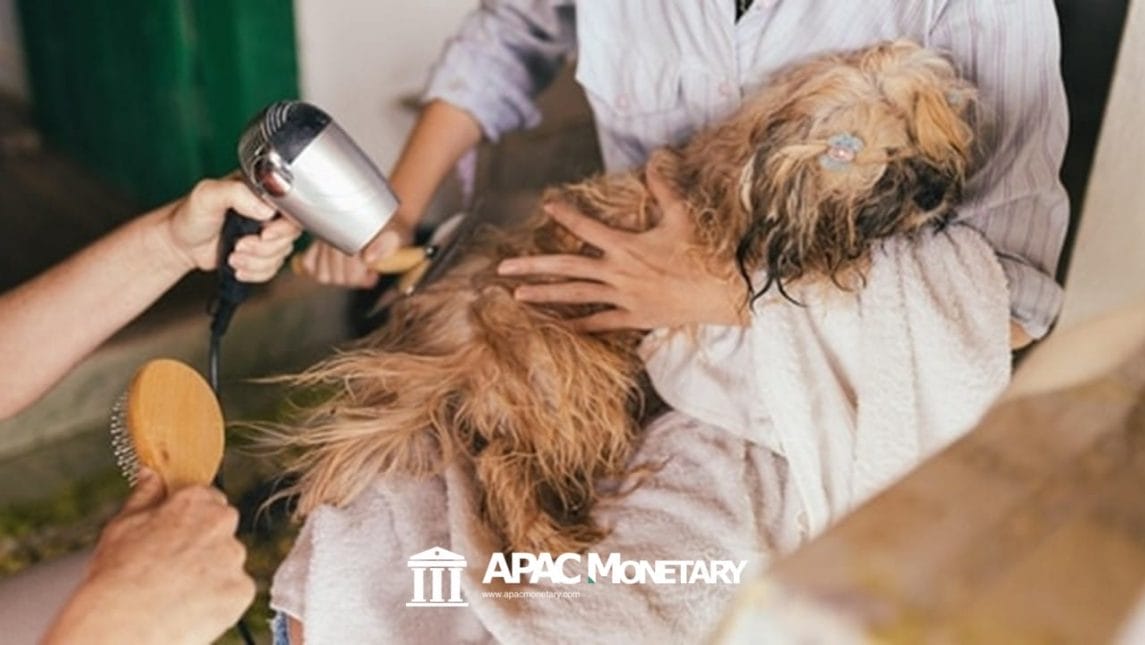 Pet Care and Grooming Business in Davao