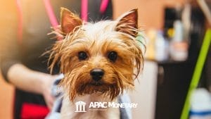 Pet Care and Grooming Business in Makati