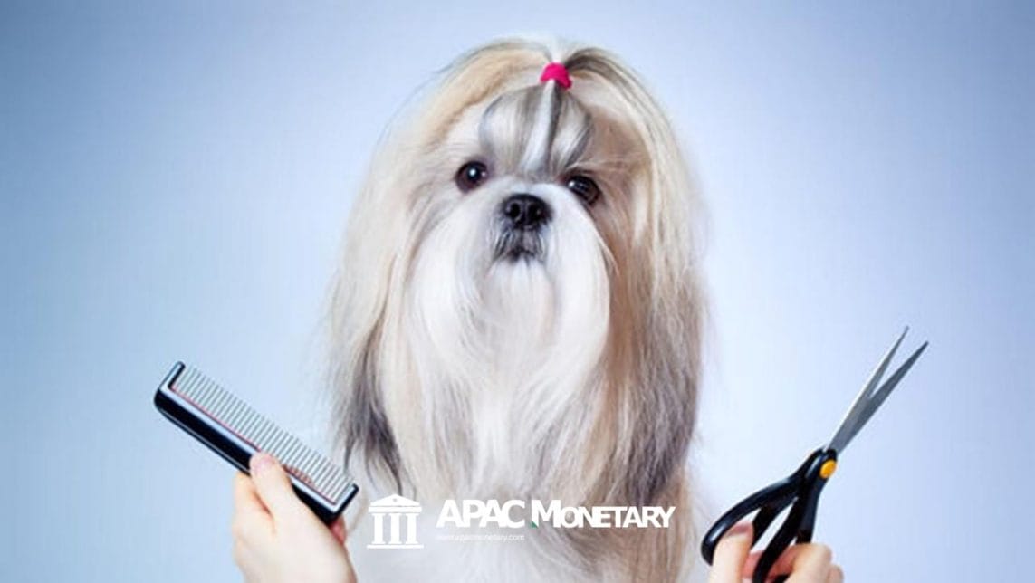 Pet Care and Grooming Business in Pasay