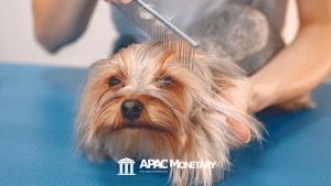 Pet Care and Grooming Business in the Philippines