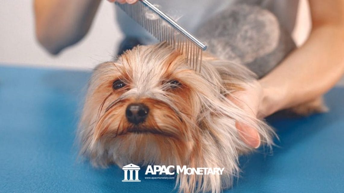 Pet Care and Grooming Business in the Philippines
