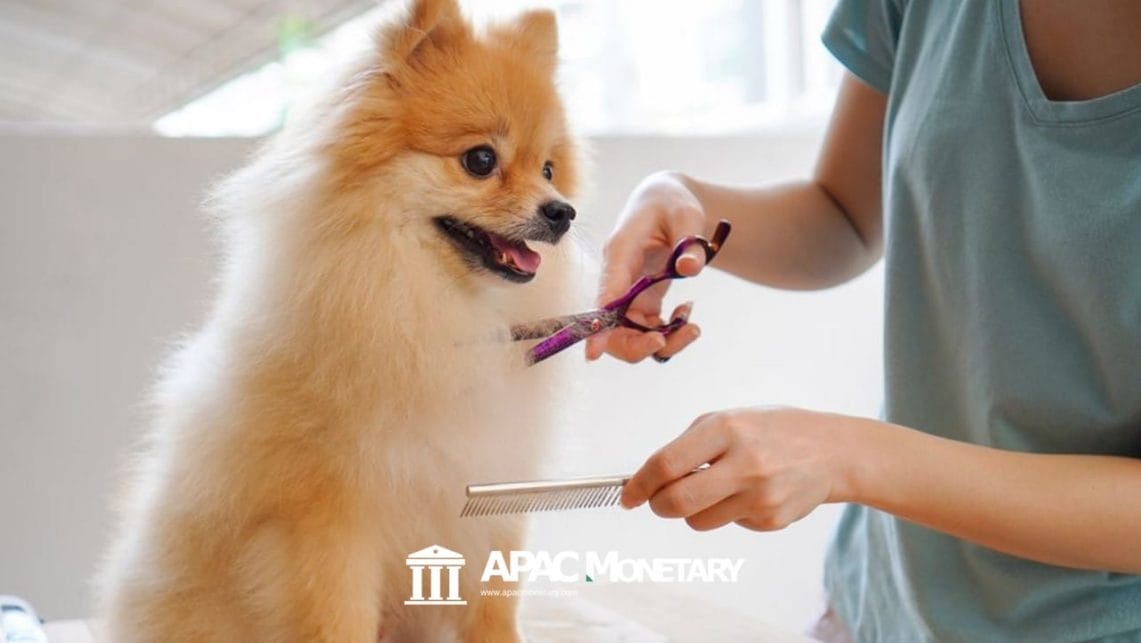 Pet Care and Grooming Services in the Philippines