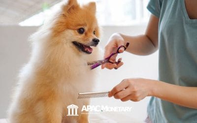 9 Advantages of a Pet Care and Grooming Business in the Philippines